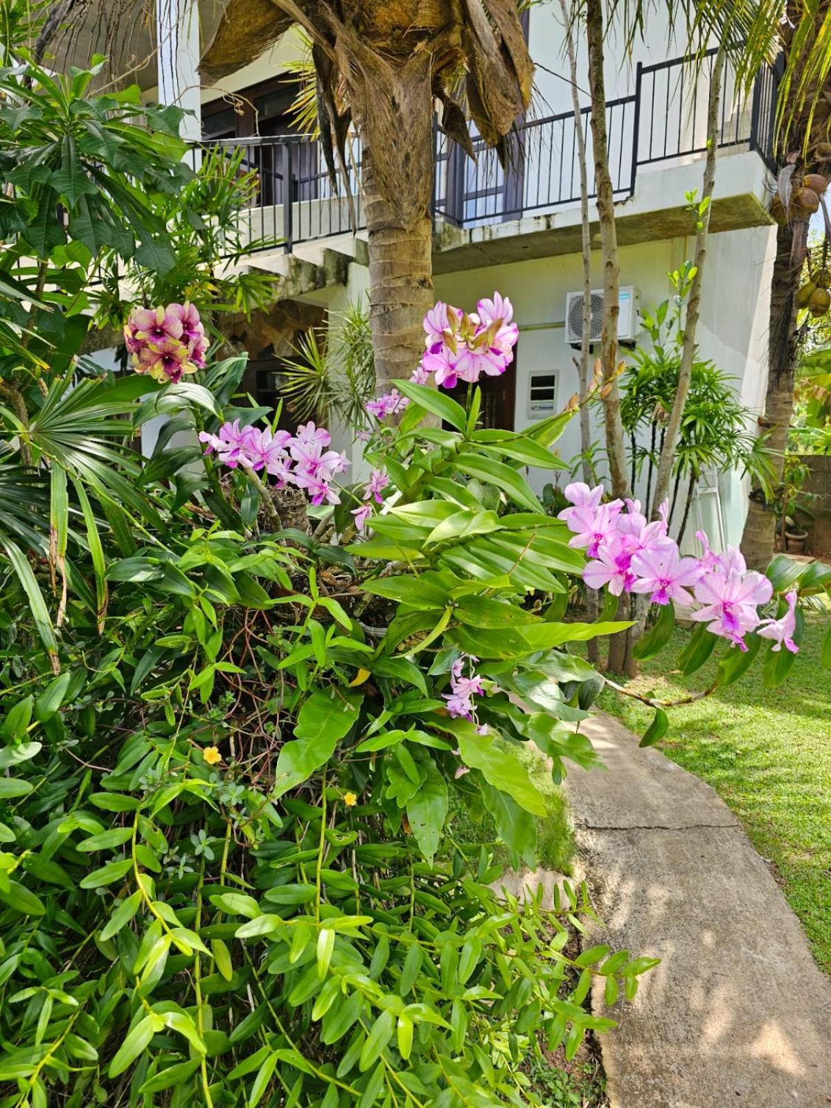 Optimum Residencies Bed and Breakfast Negombo Buitenkant foto