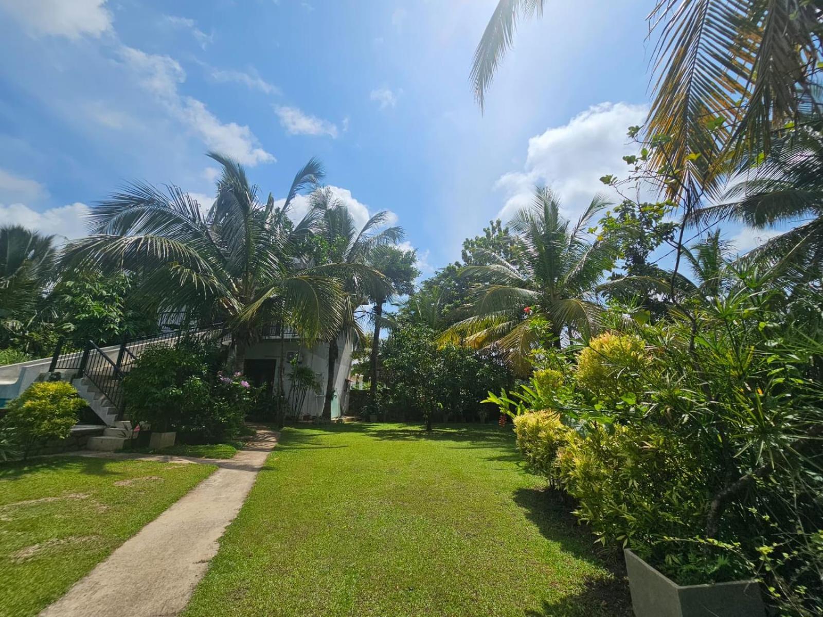Optimum Residencies Bed and Breakfast Negombo Buitenkant foto