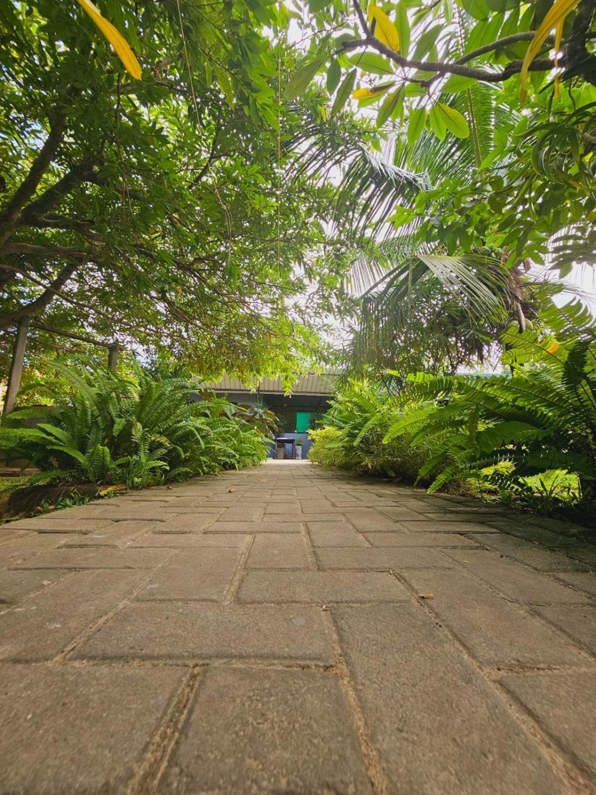 Optimum Residencies Bed and Breakfast Negombo Buitenkant foto
